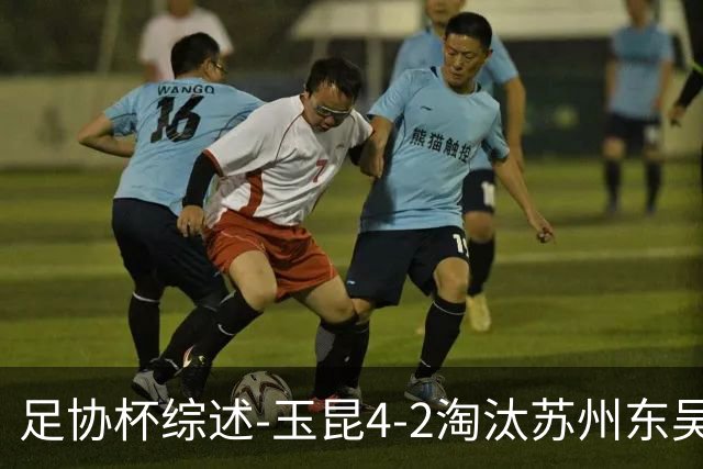 足协杯综述-玉昆4-2淘汰苏州东吴16强全部出炉中超13队晋级
