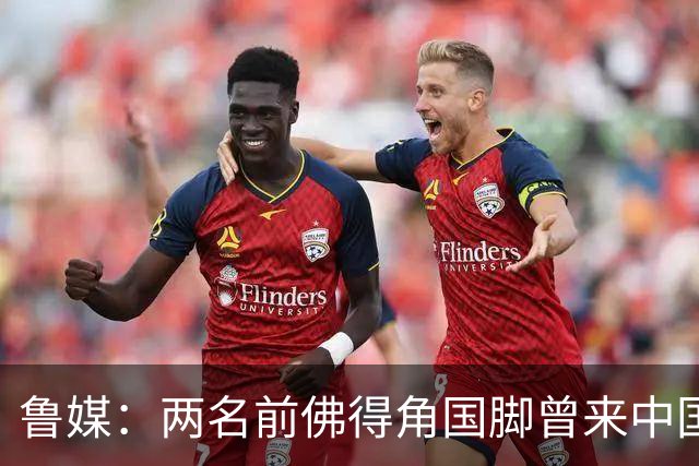 鲁媒：两名前佛得角国脚曾来中国踢球，里卡多效力泰山25场1球
